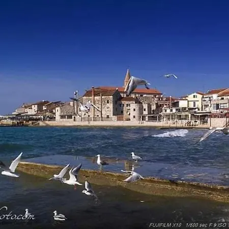 Ante Apartman *